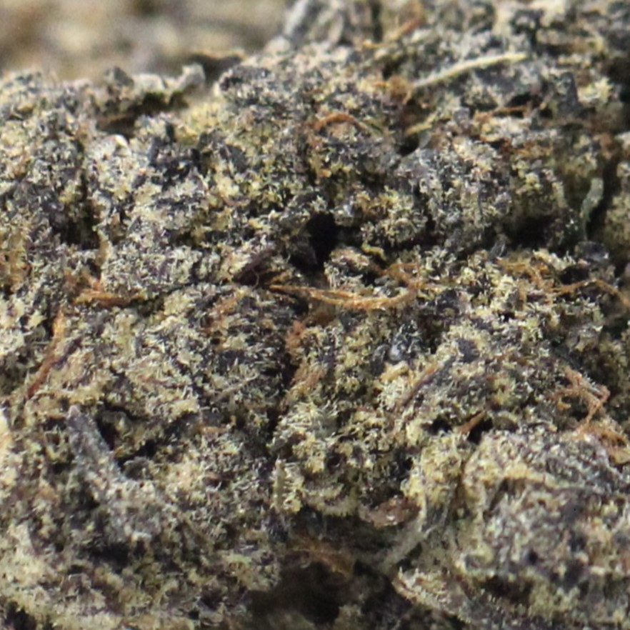 Spyder Mon (AAA) $3.86/gram - Image 2