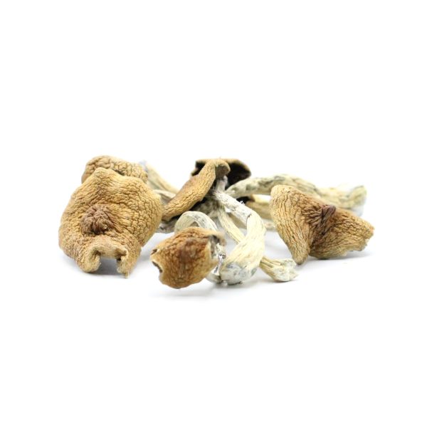 Amazon Shrooms