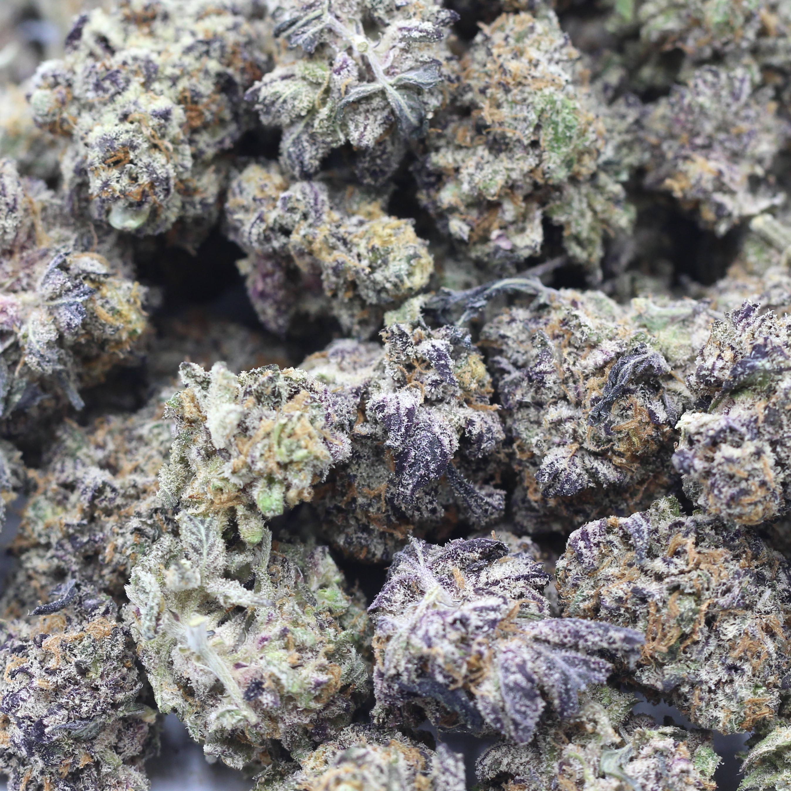 Pure Michigan Smalls (AAAA) $3.75/gram - Image 2