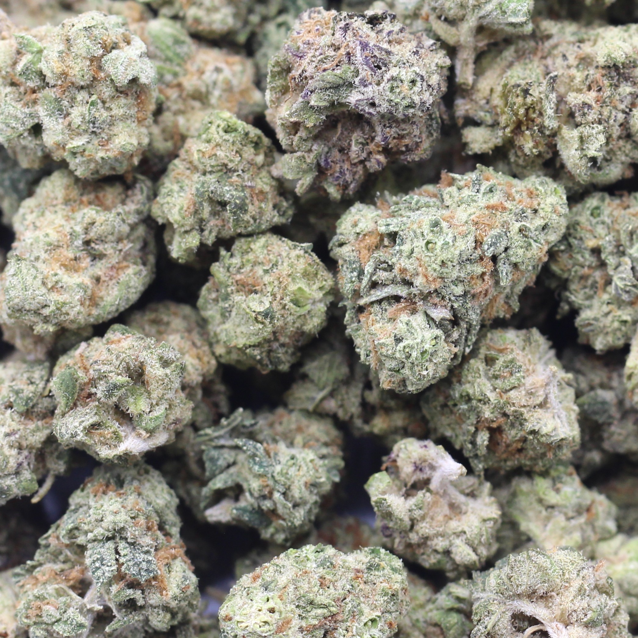 Space Queen Smalls (AAA) $3.75/gram - Image 2