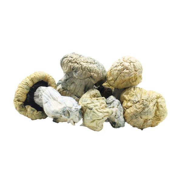 Avalanche  Shrooms