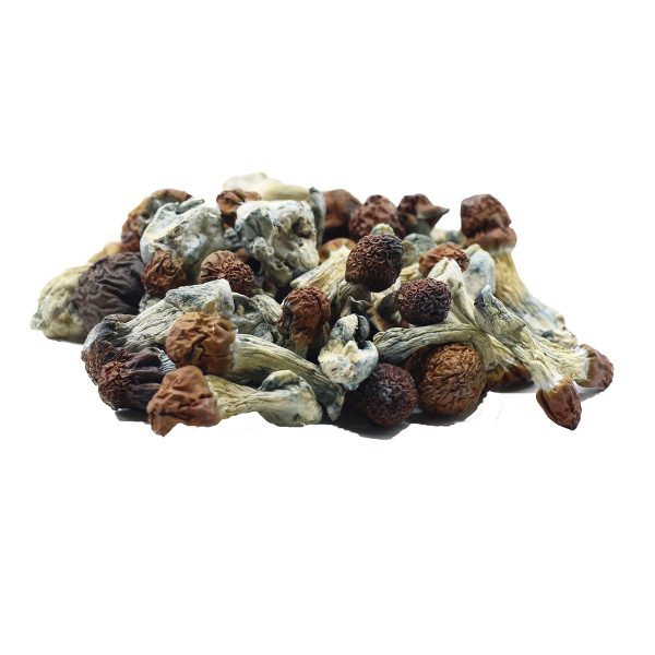 Vietnamese Shrooms