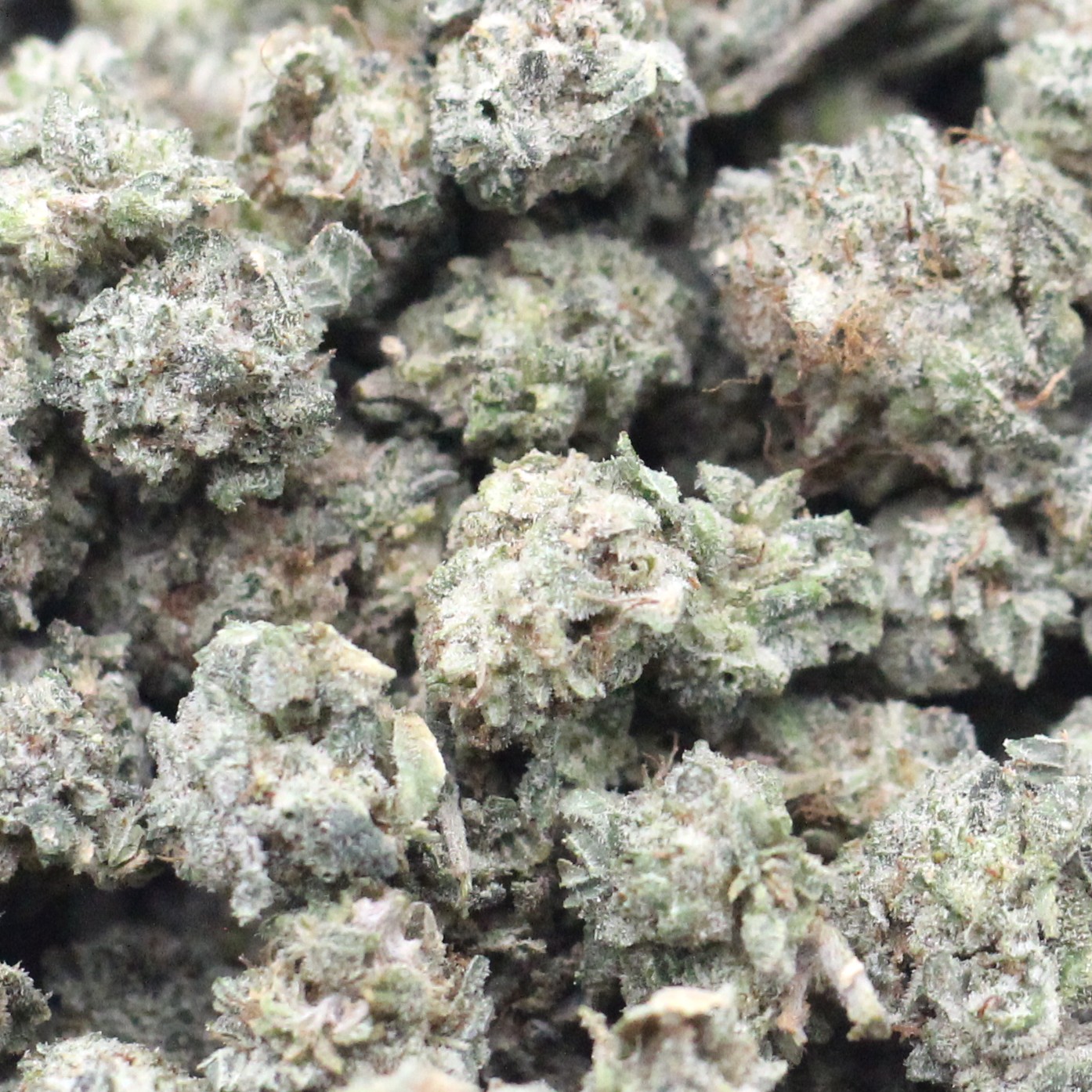 Greasy Bubba Smalls (AAA) $3.17/gram - Image 2