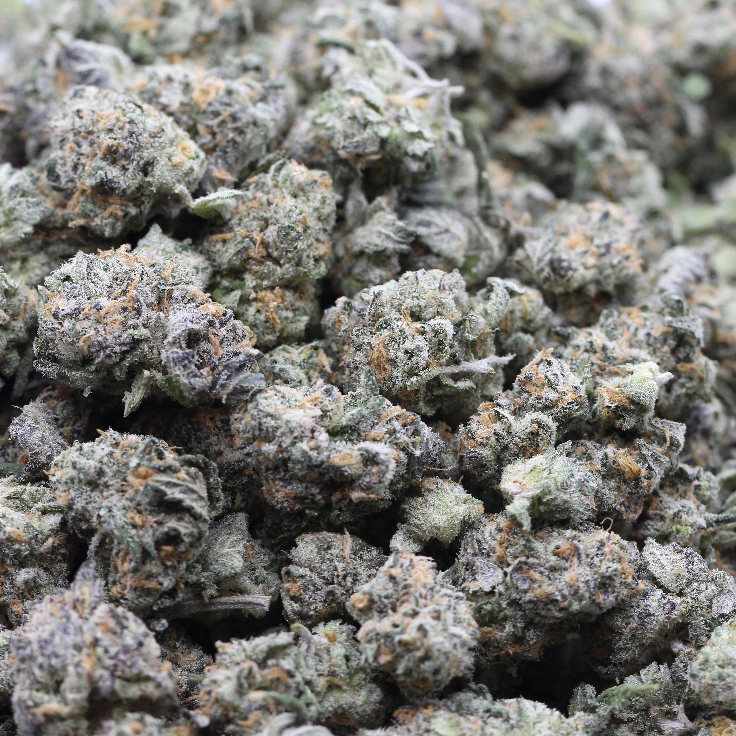 Rainbow Chip Smalls (AAAA) $4.64/gram - Image 2